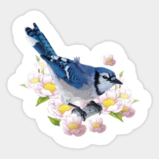 Blue Jay Sticker